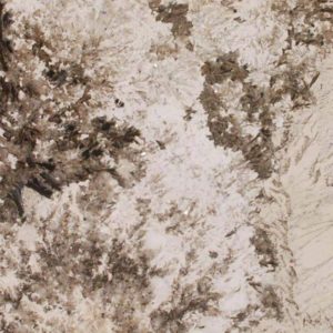 Alpine White Granite countertop slab