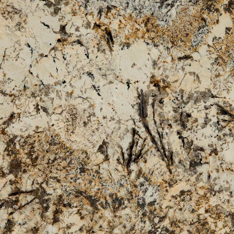 Caravelas Gold countertop slab