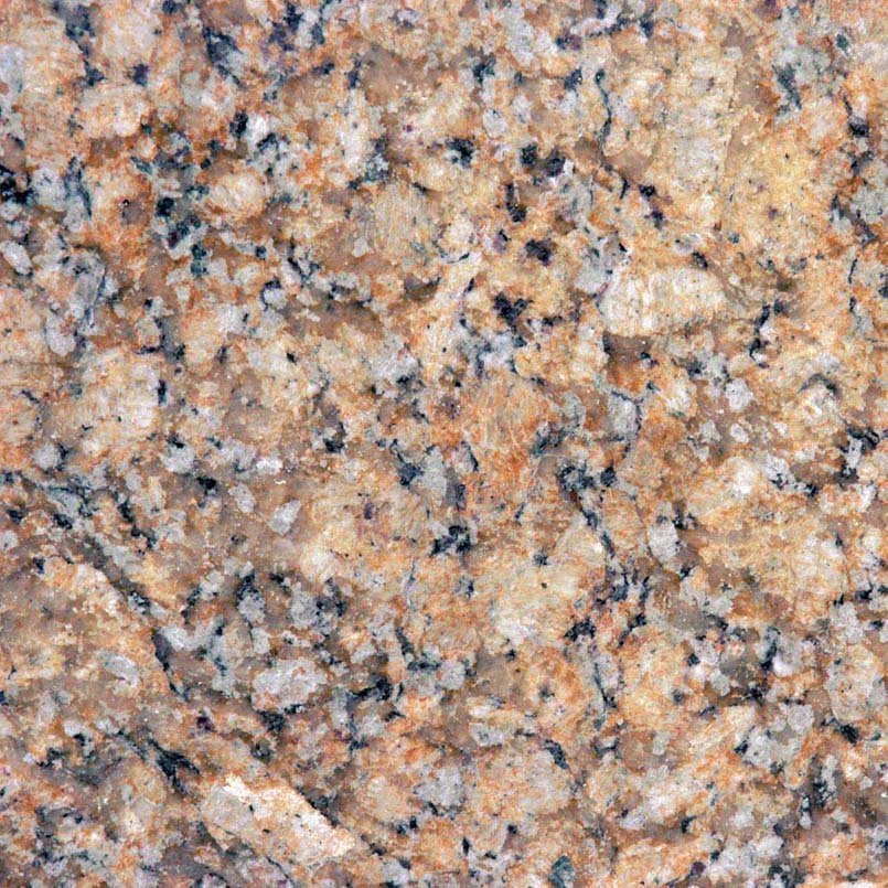Giallo Napoleon countertop slab