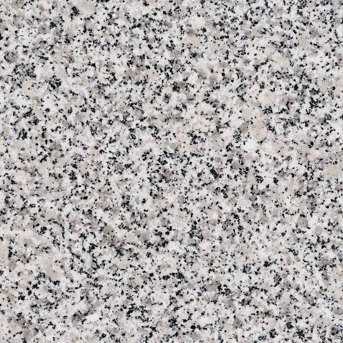 Luna Pearl countertop slab