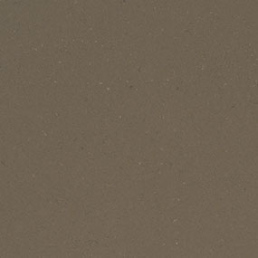 Fossil Brown countertop slab